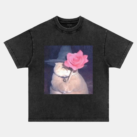 CHUNKY WIZARD CAT VINTAGE CLOTHES V2