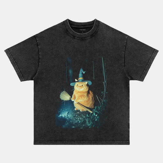 CHUNKY WIZARD CAT VINTAGE CLOTHES V3